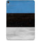 Estonia Flag Distressed Apple iPad Pro Skin